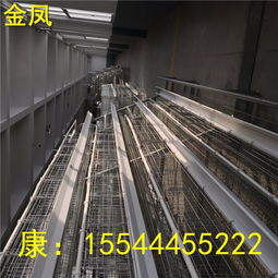 珠海金凤四层养鸡设备新报价发布 提升家禽饲养效率与效益