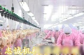 家禽饲养机械 现代化养殖的科技翅膀