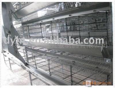 H型蛋鸡笼及全自动家禽设备 价格、厂家与产品介绍